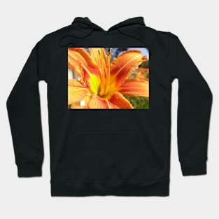 Beautiful photograph of orange flower Hoodie